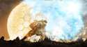 halo_shield_by_kacktustoo-d30hil2.jpg