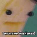 Potassium.jpg