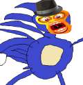 sallythehedgehag2.jpg