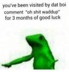 Dat boi.jpg