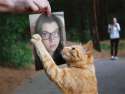 4gmO8cfTHASJF19sbcL5RQ_r.jpg