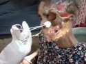 krokodil-15.jpg