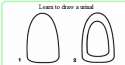 learn to draw.png