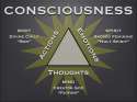 Conciousness 01.jpg