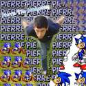 pierre the hedgehog.gif
