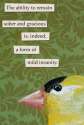 mockingbird4.jpg