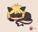 the_miraculous_ladybug_and_chat_noir_by_hannzopie-d9gp2ti.png