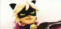 1443225128028-1.gif