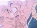 dbz29-19.jpg