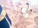 Nappa.jpg