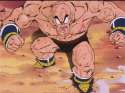dbz28-31.jpg