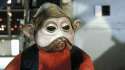 niennunb.jpg