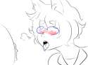 draws.png