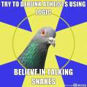 religionpigeon_2f8.jpg