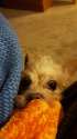 20160220_190442.jpg