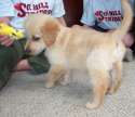 spike9wks.jpg