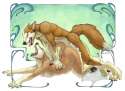 Furry Yiffy 1222848235562.jpg