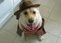 doggo hatimus (879).jpg