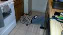 20131228_011616.jpg