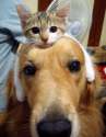 Are you awake yet? We're hungry.jpg