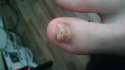 DSC_0005.jpg