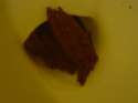 cafe7b4e7c8951f30b7ac911e94a359b.jpg