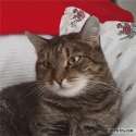 67716-large-211364.gif