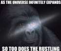 JimmiesRustled.jpg