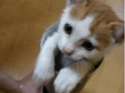 1270266490781.gif