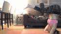 cat-anim-yoga_is_scary.gif