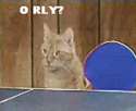 1281154309631.gif