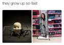 1452837507587.jpg