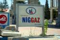 nigaz.jpg