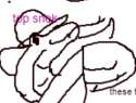 topsnek.jpg