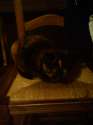 tmp_10327-DSC00188-890479241.jpg