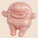 Jelly-Gummies-1.gif