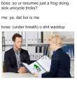 1X3qeje.jpg