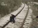 1358163707284.gif