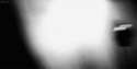 1399505063872.gif