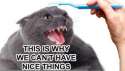 nonicethingsanymore.jpg