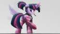 ncmares_Twi_Socks.jpg