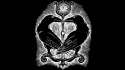 black-background-drawings-paganism-ravens-symbolism-2864084-1920x1080.jpg
