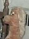 Oh-No-Raggy!.jpg