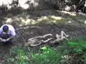 west-memphis--crime-scene-vidcaps-dead-kids-picture01.jpg