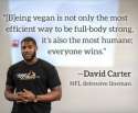 david-carter-vegan-300x248.png
