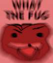 fuggly.jpg