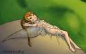1283866 - Fawn uselessboy.jpg