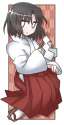 Shiki 0654.png