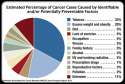 cancer-101-s4-causes.jpg