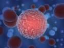illustration-of-cancer-cell.jpg